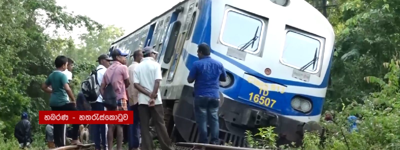 Wild Elephant dead after colliding with a train
